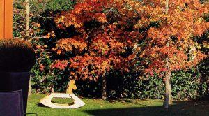 otoño tardor jardin con liquidambar