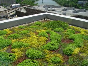 Una cubierta vegetal en el centro de una ciudad. Una opción verde y sostenible.