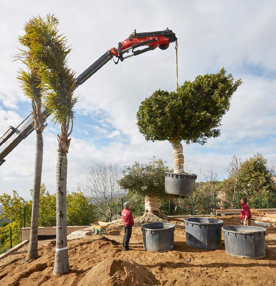 Un grup de treballadors construïnt un jardí exterior.